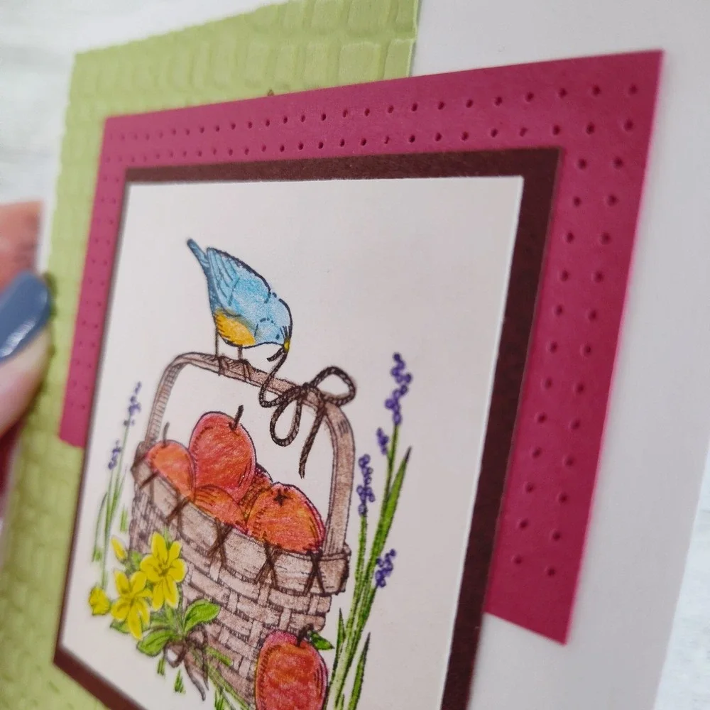 Handmade Card Apple Basket‎ Bluebird Blank Note Card Greeting Card Any Occasion